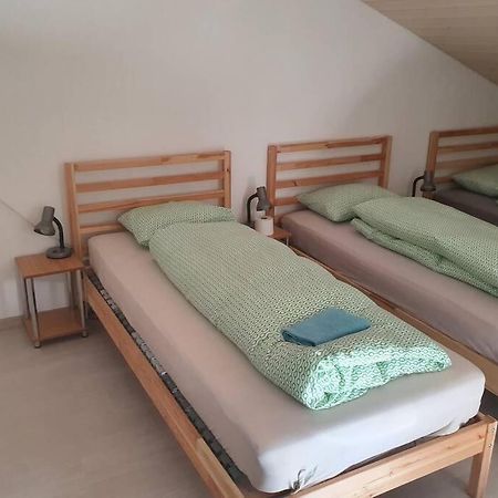 Classy Apartment Interlaken Dış mekan fotoğraf